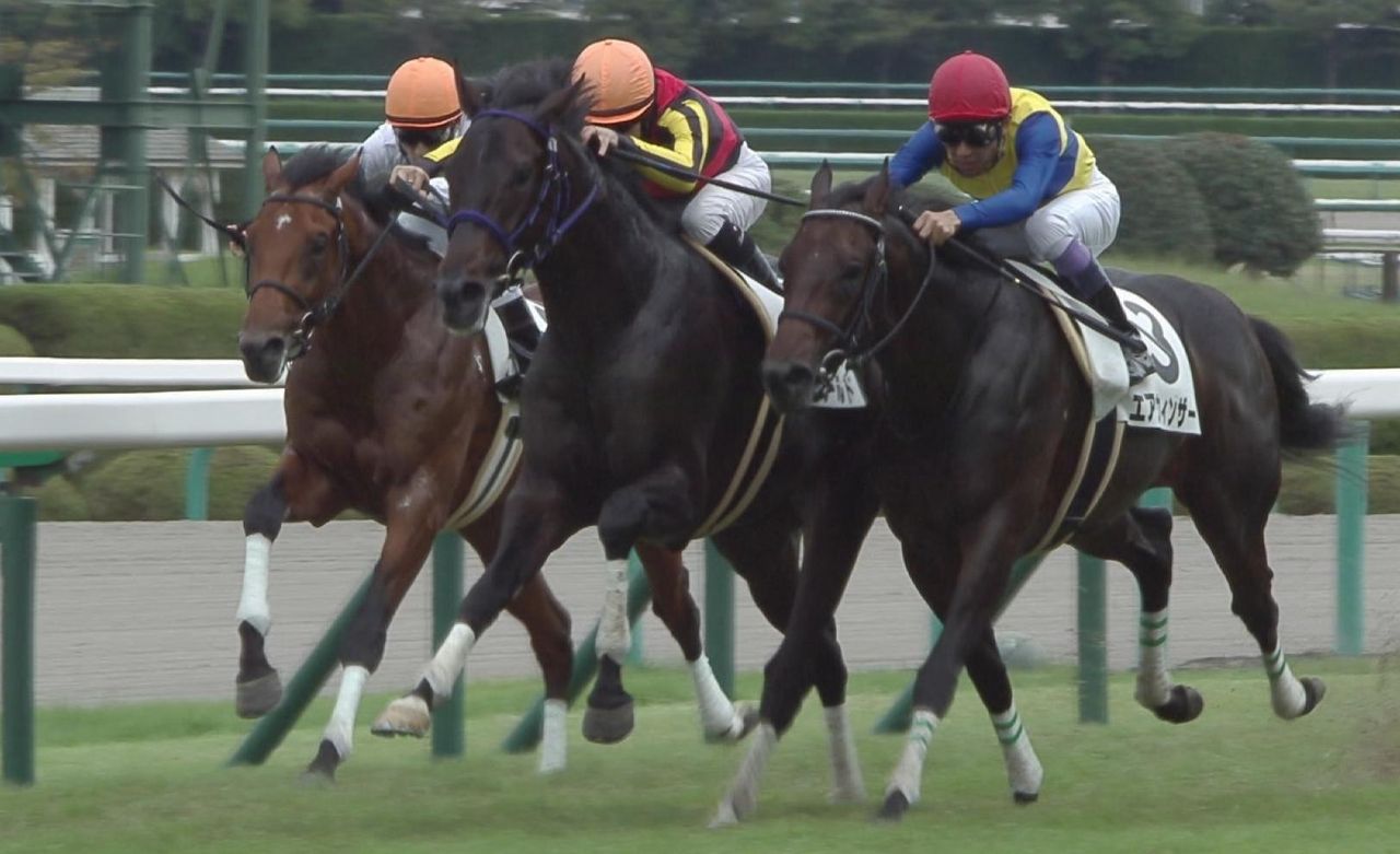 【競馬】エアウィンザー、ヴァナヘイム、ムーヴザワールド、サトノアーサー←この辺の馬