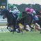 【競馬】蛯名正義今年28勝・・・