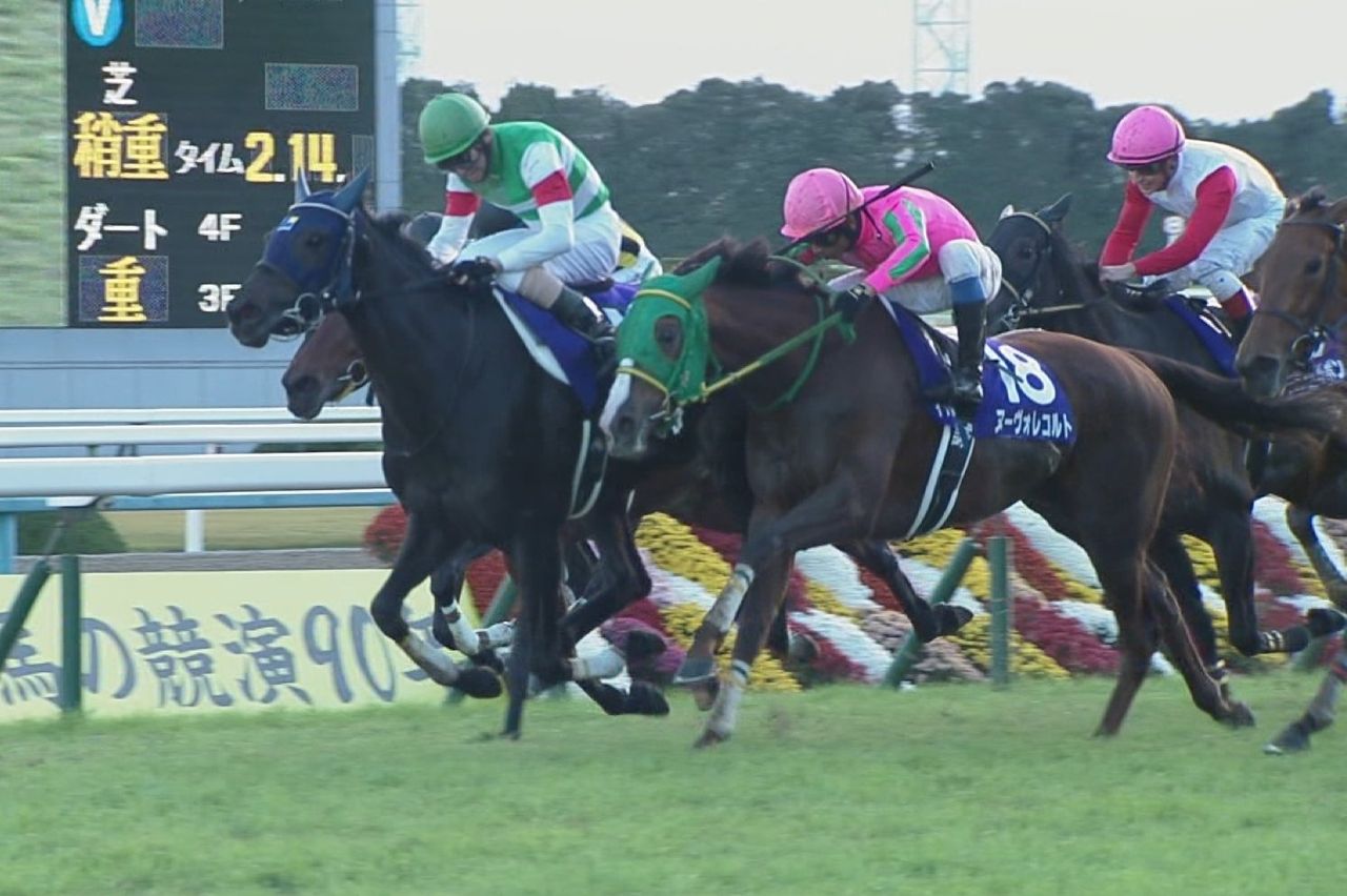 【競馬/エリ女】エリザベス女王杯を結構まじめに予想したから見てくれよ