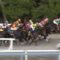【競馬】デムーロさんクソ騎乗炸裂wwwwww