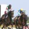 【競馬】シンハライトとかいう無事だったら史上最強だった牝馬