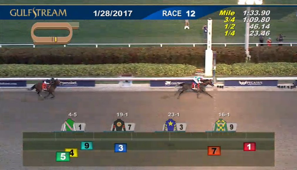 【競馬】1着賞金約8億円！ ペガサスWC(米・GI)を制したのはアロゲート(牡4)　引退レースとなったカリフォルニアクローム(牡6)は9着惨敗