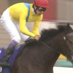 【競馬】ダービーのウオッカの謎人気はなぜ