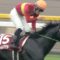 【競馬】ゴールドアクターは有馬記念に向かわず、アメリカＪＣＣへ