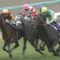 【競馬/宝塚記念】重馬場だからとかではなく、先週からサトノクラウン単勝10,000行こうとしてたんだが