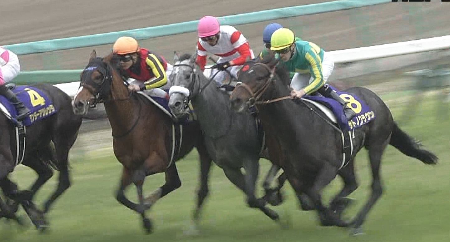 【競馬/宝塚記念】重馬場だからとかではなく、先週からサトノクラウン単勝10,000行こうとしてたんだが