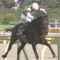 【競馬/ダービー】デムーロ「プリンシパルS勝ったヴィクトワールピサの子供（アジュールローズ）は強い」