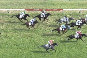【競馬】怪物ロードクエストとはなんだったのか