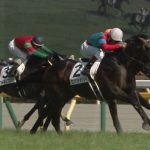 【競馬】ダービーで燃え尽きた馬ってかっこよくね？