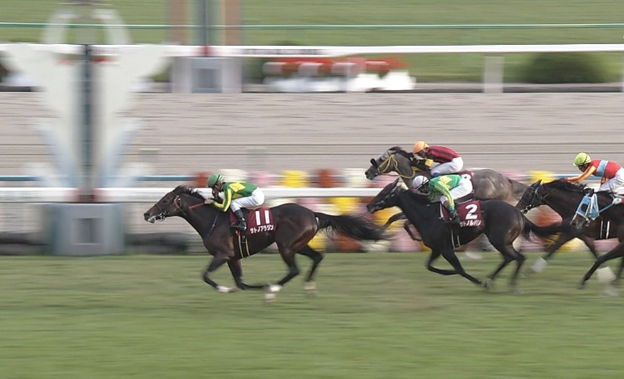 【競馬/安田記念】サトノアラジンの単勝が12.3倍とか美味すぎで糞ワロタ(笑)