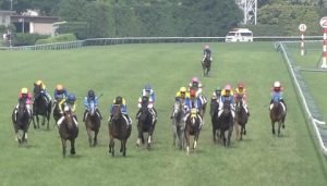【競馬/ダービー】横山頭おかしすぎワロタ