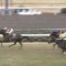 【競馬/皐月賞】アメリカズカップ最強説