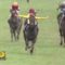 【競馬】騎乗フォームが一番綺麗な騎手といえば？
