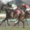 【競馬】ルメ負傷でも武豊に一頭も回ってこない