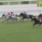 【競馬】2年前にやったアメトークの競馬芸人回の評判「ゴールドシップについて」など