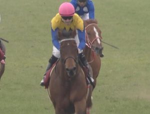【競馬】某競馬記者「マカヒキはディープインパクトより強い」