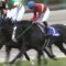 【競馬】吉田隼人さん覚醒