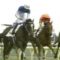 【競馬】近藤利一と橋田満調教師が決別か？