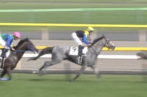 【競馬/ダービー】誰も触れないけどマウントロブソンｗｗｗ