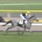 【競馬/ダービー】誰も触れないけどマウントロブソンｗｗｗ