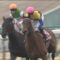 【競馬】ルメール「マカヒキはニエル賞で3馬身、4馬身、5馬身差で勝つと思います」