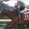 【競馬/天皇賞秋】武豊人気でマカヒキまさかの単勝2番人気。レイデオロより人気している件