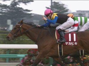 【競馬】マカヒキってキズナどころかヴィクトワールピザより弱いだろ、1番人気?はぁ? 【競馬】マカヒキってキズナどころかヴィクトワールピザより弱いだろ、1番人気?はぁ?