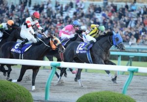 【競馬】果たしてダンス追いは意味があるのか考えてみる