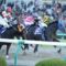 【競馬】果たしてダンス追いは意味があるのか考えてみる
