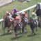 【競馬】阪神6Rの福永wwwwwww ← 直線内を突いて超絶詰まる