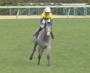【競馬/ダービー】金子真人HDの作戦が明らかになった件wwwww