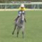 【競馬/ダービー】金子真人HDの作戦が明らかになった件wwwww
