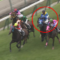 【競馬/福島11R】戸詐欺つまる