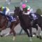 【競馬/2歳新馬】サートゥルナーリアとかいう馬名wwwwwww