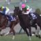【競馬】リオンディーズて中段で折り合いついたら　ぶっちぎるんじゃね