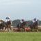 【競馬】ダイワ大城敬三オーナー死去