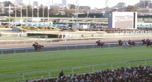 【競馬】オルフェーって今の超高速馬場だったら通用したの？