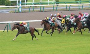 【競馬】ウィンクス調教師「モーリスが豪遠征していたらウィンクスの連勝は止められていた」