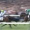 【競馬】蛯名って何気に毎年ダービーいい馬乗ってるよね