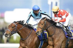 【競馬】CデムーロとＭデムーロどっちがうまいん？(´・ω・｀)