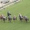 【競馬/ラジオN賞】アップクォーク出遅れ柴山しね