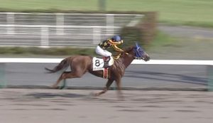 【競馬】柴田未崎平場でガッツポーズwwwwww