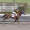 【競馬】柴田未崎平場でガッツポーズwwwwww