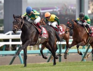 【競馬/宝塚記念】サトノクラウン重馬場得意みたいに言われてるけどなんで去年は来なかったの？