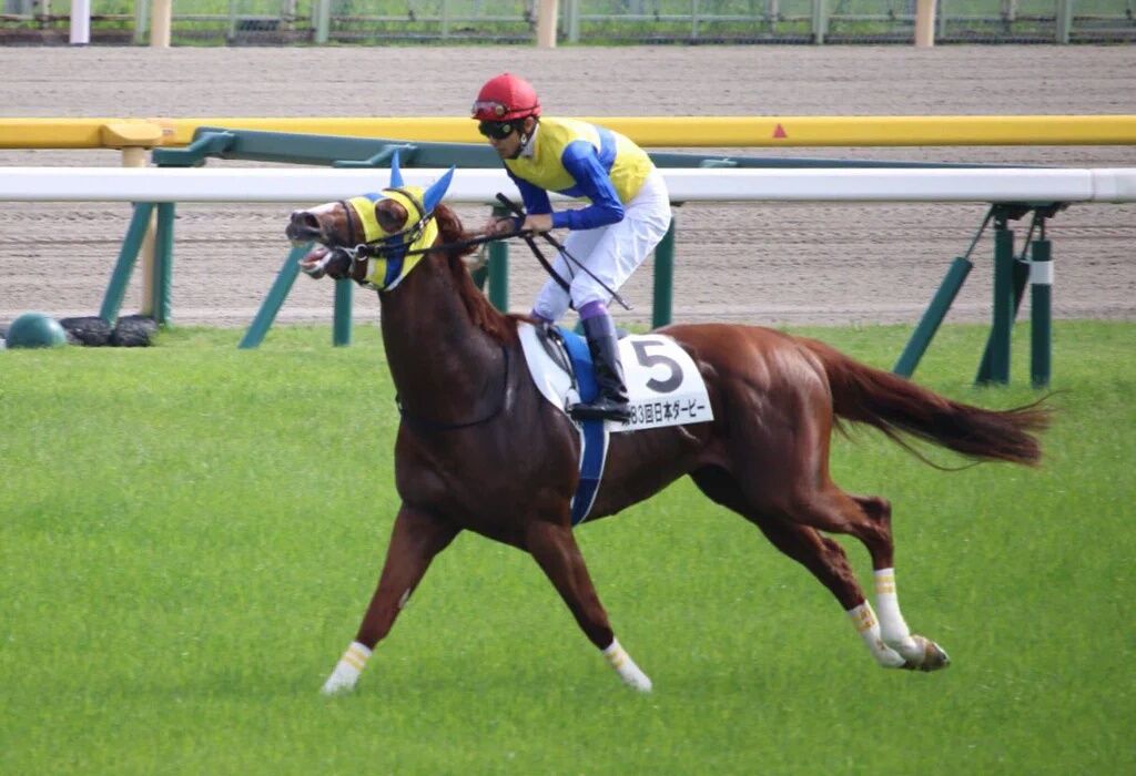 【競馬】エアスピネル「来週はライバルのリオンと5度目の対決だ！」