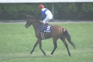 【競馬】ロードクエスト小島茂師「安田記念という選択肢もある。ギリギリまで考えたい」