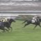 【競馬】2億円馬サトノケンシロウとはなんだったのか