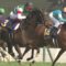 【競馬/オークス】デムーロがいらんことして３着