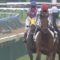 【競馬】キーファーズ「ユタカさんで凱旋門賞に行きたい」