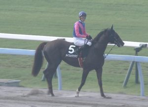 【競馬】幸四郎、父邦彦の死に…声を震わせ号泣
